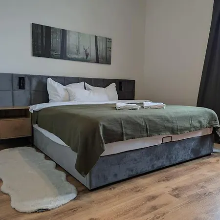 Apartment Traumwohnung Mit Dom-blick *